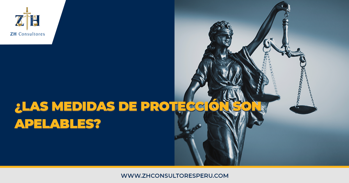 ¿Las medidas de protección son apelables? - ZH Consultores