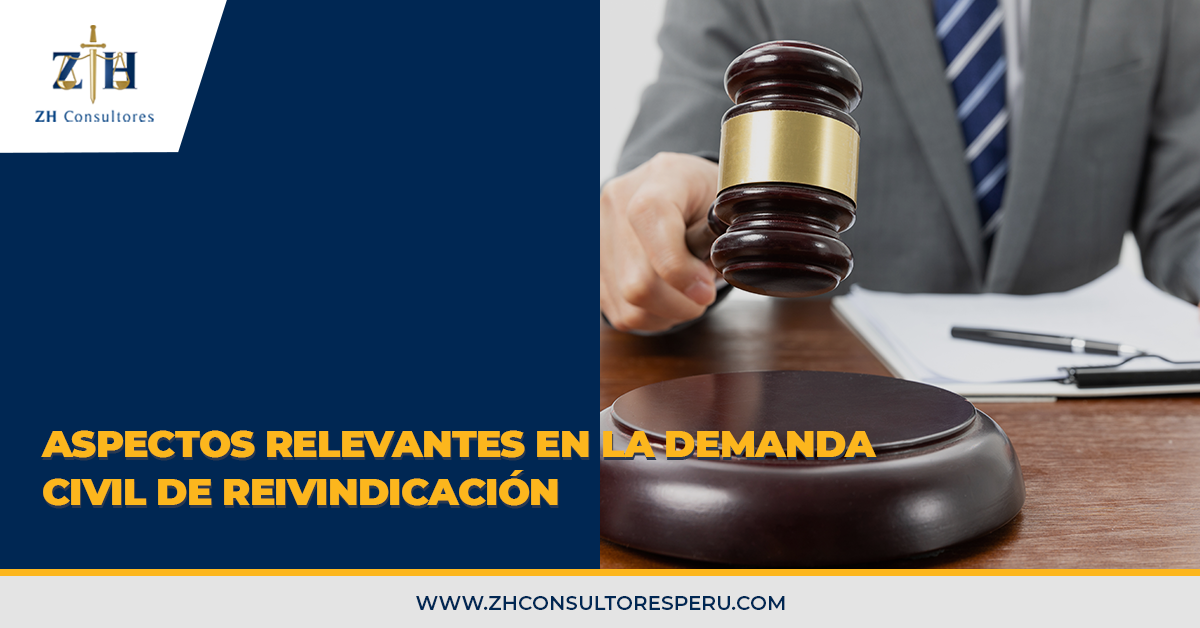 Aspectos relevantes en la demanda civil de Reivindicación - ZH Consultores